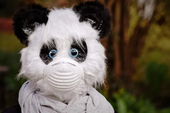 TopBet Kasyno Wsparcie